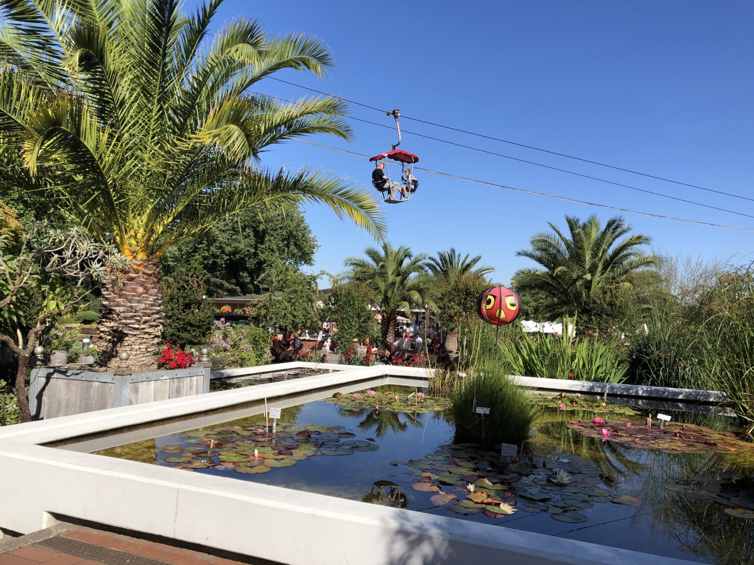 Palmen im Westfalenpark in Dortumd. Seilbahn die über den Park fährt
