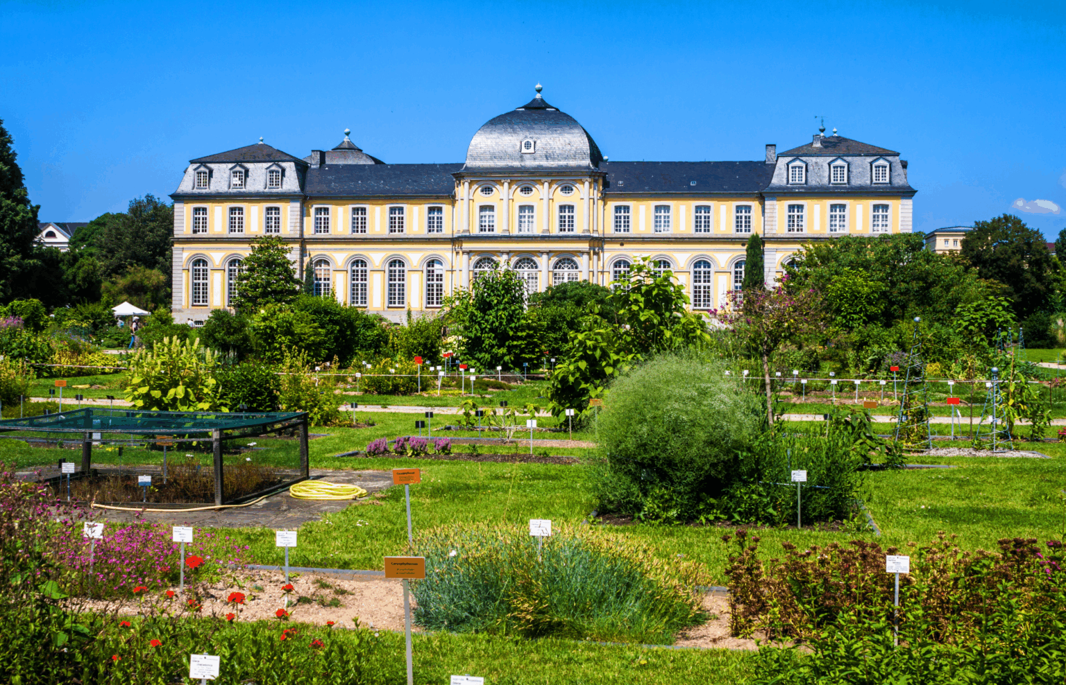 Im Hintergrund das Poppelsdorfer Schloss umgeben vom Botanischen Garten Bonn